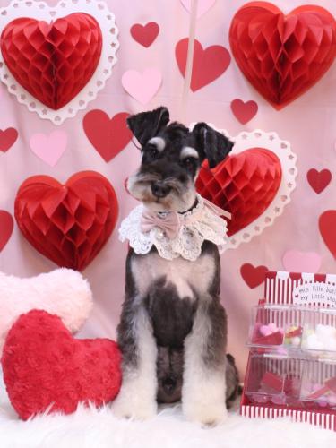 20240223ココくん